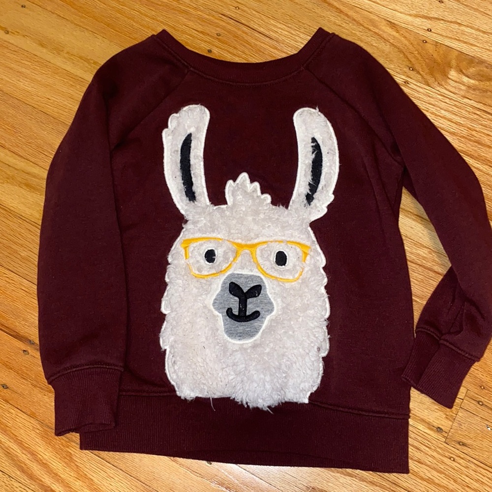 Llama sweatshirt